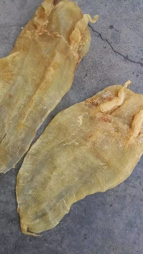 昌盛海味行 優(yōu)質(zhì)海產(chǎn)與海味干貨的批發(fā)與零售專(zhuān)家